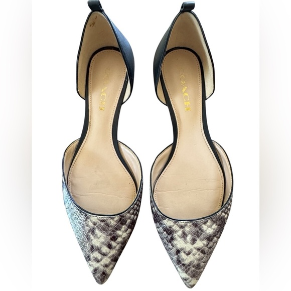 Coach Jameson Lux Snake Flats – Size 8.5B – Style A01388 – Gently Worn - Picture 1 of 11